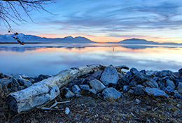 Lakeside view