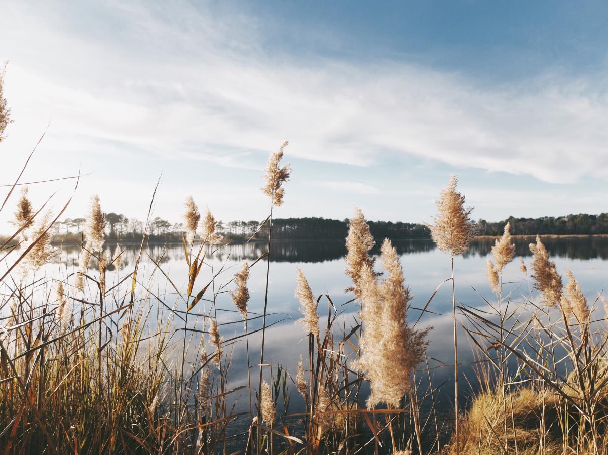 What is a Floodplain