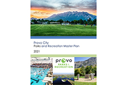 master plan cover web