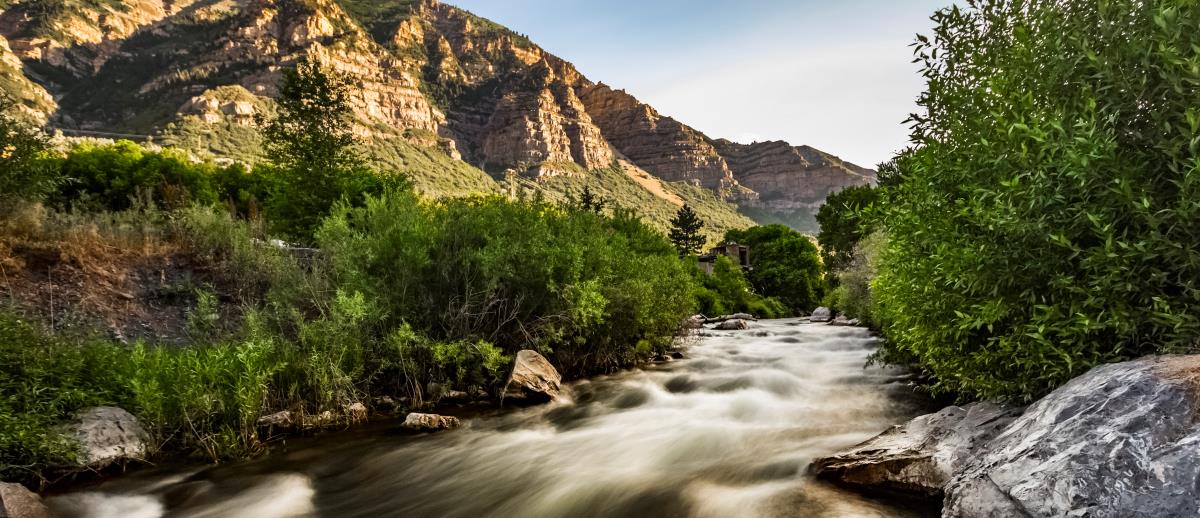 Dallin Green - Provo Canyon Copy