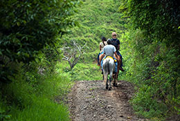 SOUTH FORK EQUESTRIAN TRAILHEAD