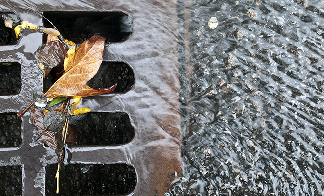 storm-drain-grate