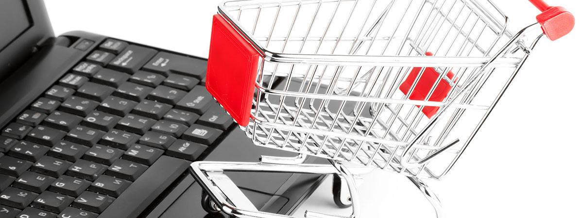 Shopping cart with computer