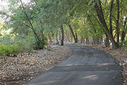 Provo River Trail with leaves