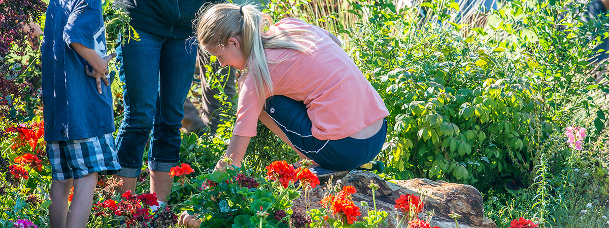 group weeding flowers