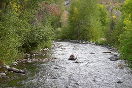 Provo River